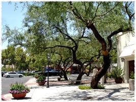 Homewood St. Philip's Plaza Tucson